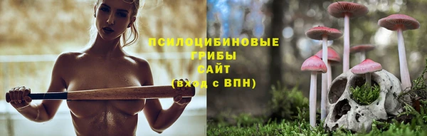 амфетамин Богородицк