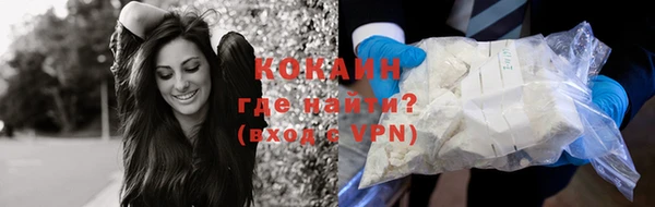 прущий лед Богданович