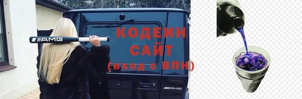 прущий лед Богданович