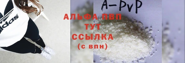 a pvp Бородино