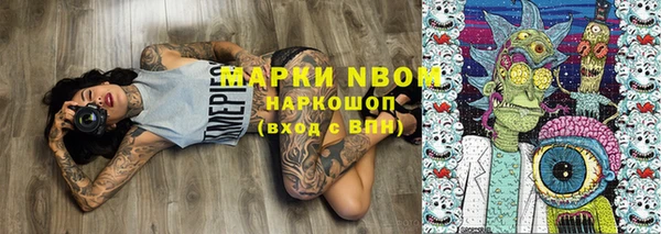 прущий лед Богданович