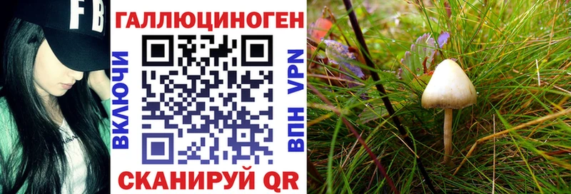 Галлюциногенные грибы Cubensis  закладки  Кинель 